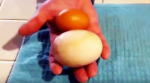 Man Finds A Giant Egg In His Farm. What Comes Out? OMG!