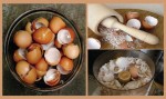 After Reading This You Will Never Throw Away Eggshells