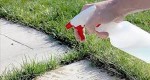 SPRAY THIS SIMPLE MIXTURE AND YOU WILL NEVER SEE WEEDS IN YOUR GARDEN AGAIN!