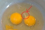 Have You Ever Noticed The White String Inside A Raw Egg, Here’s What It Is