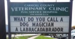 These Hilariously Clever Veterinarian Signs Will Have You In Stitches!