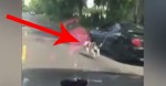 Woman Caught On Camera Walking Her Dog While Driving. Police Department Say Its OKAY