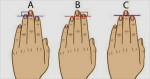 The length of your fingers will tell you whether you are a leader or a follower