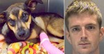 Cruel Man Mercilessly Beat His Tiny Puppy For An Unbelievable Reason.