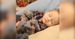 Tiny Puppy Wiggles Around On Napping Toddler, Now Watch When He Finds The Perfect Spot…