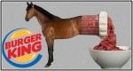 BURGER KING ADMITS TO USING HORSE MEAT IN BURGERS, WHOPPERS