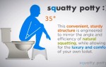Altering Your Toilet Position Could Lead The Way To Gastrointestinal Health