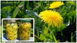 DANDELION CURES CANCER, HEPATITIS, LIVER, KIDNEYS, STOMACH … HERE’S HOW TO USE IT!