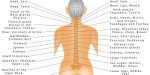 THIS DIAGRAM SHOWS WHICH PART OF YOUR SPINE IS CAUSING INTERNAL ORGAN PAIN