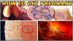 HOW TO GET PREGNANT SUPER FAST (BEST FOODS AND POSITIONS FOR GETTING PREGNANT)