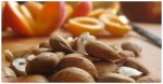 APRICOT SEEDS KILL CANCER CELLS WITHOUT SIDE EFFECTS