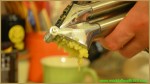 HOW TO MAKE A GINGER PRESS IN MINUTES – THE STRONGEST NATURAL PAINKILLER IN THE WORLD!