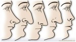 THE SHAPE OF YOUR NOSE IS NOT A COINCIDENCE: SEE WHAT IT SAYS ABOUT YOU!