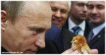 THE RUSSIAN GOVT. HAS DECIDED TO COMPLETELY BAN THE USE OF ANY & ALL GENETICALLY MODIFIED INGREDIENTS IN FOOD PRODUCTION