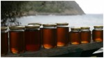 SCIENTISTS DISCOVER WHY HONEY IS THE BEST NATURAL ANTIBIOTIC