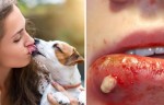 This Is What Happens When You Let Your Dog Lick You