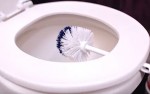 It’s Hard To Believe! The Lady Leaves Her Toilet Brush In The Bowl For Few Minutes And The Reason…