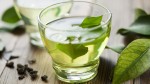 Green Tea – Why Do We Need to Drink It?