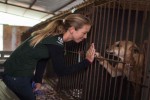 200 Dogs Were Caged For Meat! These Heroes Set Them Free
