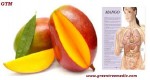 Fruits, Health, Healthy Eating5 REASONS WHY MANGO IS THE BEST CHOICE