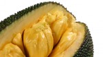 Scientists Find Jackfruit to be a Powerful Cancer Killer