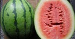 If You See Cracks In Your Watermelon, Throw It Away! Here’s Why!