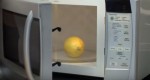 (VIDEO) She Puts Lemon In Microwave. 20 Seconds Later…? You Just Have to Try This!