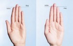 New Science Says 57% Of Men Are Born Cheaters You Can Tell By Their Finger Length
