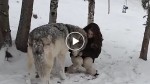 A huge wolf walks up to this woman in the forest. When THIS happens, I gasped!