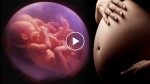 Doctors show the effective techniques on how to conceive twins! So AWESOME!