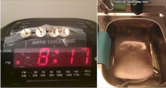 19 People Who Have Life All Figured Out
