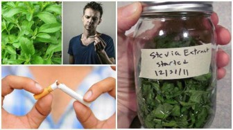 How To Quit Smoking Using 3 Drops Of Stevia