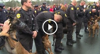 These officers line up with their dogs in the rain, but when the Sheriff speaks? TEARS!