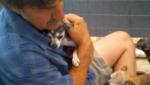 Abused Dog Was Never Touched In Her Life. Watch Her Reaction When She’s Held For The First Time