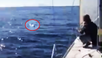 These Guys Were Out In The Ocean When They Noticed Something Very Strange Swimming The Water!