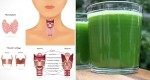 HOW TO SPOT THE SYMPTOMS OF HYPERTHYROIDISM AND THE BEST GREEN JUICE TO PREVENT IT (RECIPE INCLUDED)