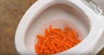 He Dumps Carrots Into His Toilet. The Reason? I’ve Never Seen Anything Like This…