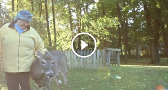 She saved this deer’s life but what the deer does to repay the favor? It will warm your heart!