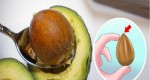 You Will Never Throw Away Another Avocado Seed After Reading This