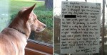 Heartbroken Dog Would Stare Out The Window Each Day, Then A Note Appeared With The Perfect Message.