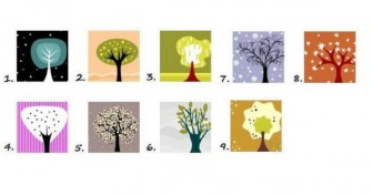 Fun Personality Test – Pick A Tree
