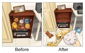 Hilariously Accurate Comics of How A Dog Will Change Your Life