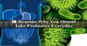 10 REASONS WHY YOU SHOULD TAKE PROBIOTICS EVERYDAY