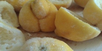 Mom Freezes Lemons And Then … Amazing!