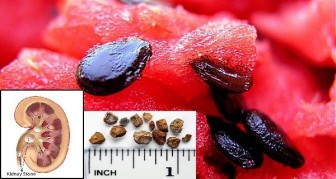 AFTER READING THIS, YOU WILL NEVER THROW WATERMELON SEEDS AGAIN