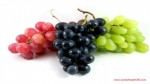 PURPLE VS WHITE GRAPES: WHICH IS BETTER FOR YOUR HEALTH?