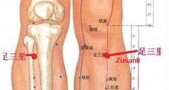 ZU SAN LI-POINT OF LONGEVITY, OR POINT OF HUNDRED DISEANSE. IF YOU MASSAGE THIS SPOT ON YOUR BODY, IT WILL DO WONDERS FOR YOUR HEALTH!