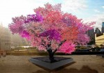 Art Professor Grows Trees That Can Bear 40 Types of Fruit