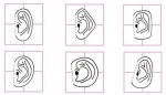 What Your Ear Shape Says About Your Personality