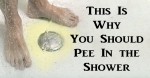 5 Reasons Why You Should Pee in The Shower